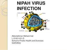 But what is the virus? Nipah Virus Infection