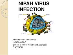 Nipah virus was later also identified in india and bangladesh in 2001, with the flying fox (pteropus spp.) as the. Nipah Virus Infection