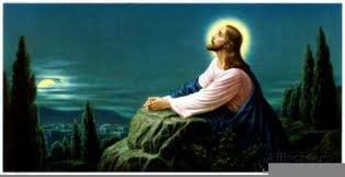 Jesus Praying In The Garden Of Gethsemane Clipart Free Images At In 2020 Jesus Pictures Jesus Praying Jesus