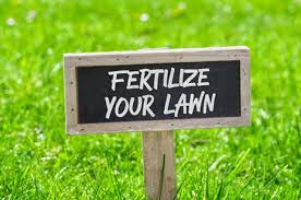 Lawn Fertilizer Guide 2019