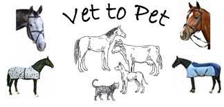 Professional dental cleaning, polishing and charting done under highest standard of anaesthesia safety. Vet To Pet
