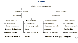 Afasia is a cute young lady, can be mean but she's really friendly, she has a small group of friends, she don't trust nobody, she may seem shy but when you get to know her she will blow your mind. Afasias A Fondo Grupo De Ayuda Para Cuidadores