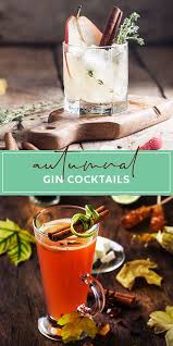6 Of The Best Gin Cocktail Recipes For Autumn Craft Gin Club The Uk S No 1 Gin Club In 2020 Gin Cocktails Gin Cocktail Recipes Craft Gin