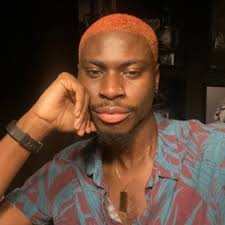 Articles by Chisom Peter Job's Profile