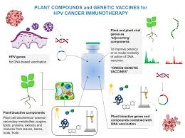 Get free coaching at rlcd.gg! Cancers Free Full Text Plant Derived Natural Compounds In Genetic Vaccination And Therapy For Hpv Associated Cancers Html
