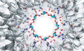 BOOK OF ABSTRACTS BOOK OF ABSTRACTS EFMC-ISMC 2018