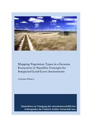 Image result for Baissea wulfhorstii