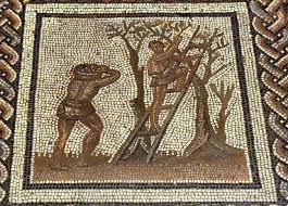 Calendrier Agricole De St Romain En Gal Iiieme S La Cueillette Des Olives Musee Archeologique De