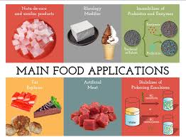 Cellulose (c6h10o5)n is one of the most ubiquitous organic polymers on the planet. Pdf Bacterial Cellulose As A Raw Material For Food And Food Packaging Applications Semantic Scholar