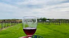 Sippin' On Summer