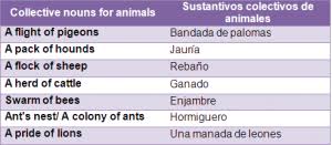 Sustantivos colectivos y oraciones de ejemplos (5º mda). Sustantivos Comunes En Ingles Vocabulario Guia Estudio