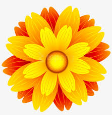 All images are transparent background and unlimited download. Orange Flower Png Transparent Clip Art Image Flower Clipart Png Free Transparent Png Download Pngkey