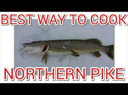 The Best Way To Cook Northern Pike - Youtube