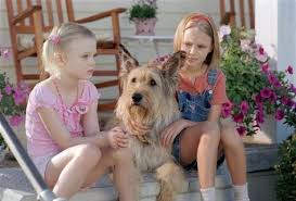 Elle Fanning Because Of Winn Dixie Movie Photos Fox Winn Dixie Mon Meilleur Amie Because Of Winn Dixie 2004 Elle Fanning Affiche Film Film
