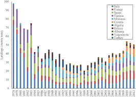 This free website was made using yola. Advances In Management Of Precious Corals To Address Unsustainable And Destructive Harvest Techniques Springerlink