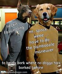 Bamboozle Bamboozled Again Star Trek Cosplay Marvel Memes