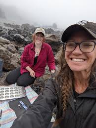 Mussel Shells and Shipwrecks