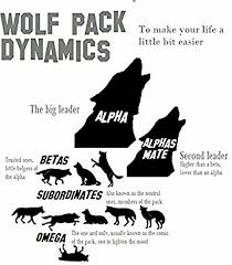 Pin On Wolf Quotes