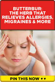 Butterbur The Herb That Relieves Allergies Migraines More Vitamin E Oil Allergies Migraines Relieve Migraine Migraine Prevention Asthma Symptoms