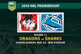 Buzz shark vs giant squid! Dragons Vs Sharks Betting Preview Round 11 Nrl 2019