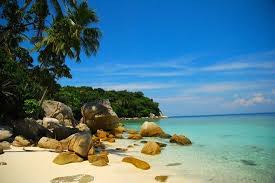 How to use houseplants to decorate your home. 5 Cheap Flights To Pulau Lang Tengah Malaysia Tripadvisor