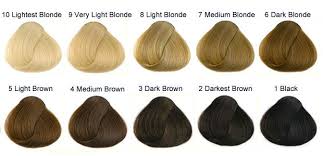 international colour charts for hairdressing hair and