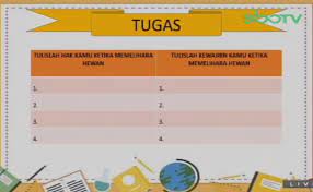 Tuliskan kewajibanmu ketika memelihara hewan. Tulislah Hak Dan Kewajiban Kamu Ketika Memelihara Hewan