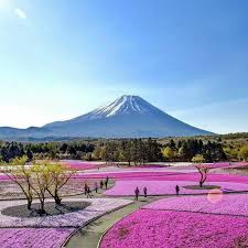Mount Fuji Japan Pics