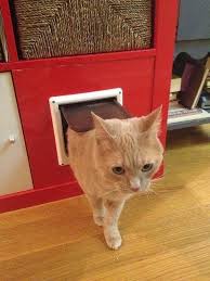 9 Stylish Ikea Hacks Your Cat Will Love Ikea Hacks For Cats Cats Cat Care