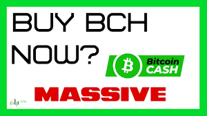 There are a few reasons good security is crucial when you're buying bitcoin. Bitcoin Cash Bch Price Prediction Where Is Bch Headed Youtube