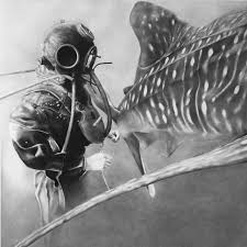 Recent changes teresa.esgaio's in instagram account. Supersonic Art The Artwork Of Teresa Esgaio Beautiful Drawings