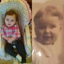 Scott Gilbert worked