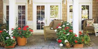Graceful grasses, colorful crotons, and vivid ti plants are some of the breathtaking plants you can use to spruce up porch or lanai for fall. The 20 Best Patio Plants To Make Your Home Look Even Happier