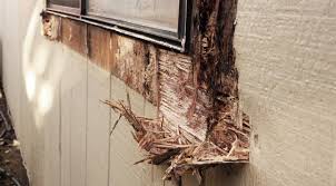 How To Prevent Wood Rot Sealing Wood Wood Diy Home Repair