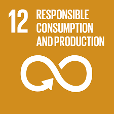 SDG 12 Responsible consumption and production - Fondazione Compagnia di San  Paolo