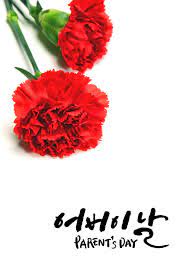 반전 작약 용돈박스 어버이날 선물 돈티슈 카네이션. ì¤'êµ­ì˜ ì–´ë²„ì´ë‚ ì€ ì „ìžì‹ ë¬¸