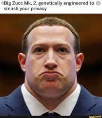 Scroll through the best ones here. 36 Funny Mark Zuckerberg Memes Ideas Mark Zuckerberg Memes Zuckerberg