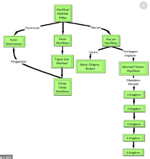 Check spelling or type a new query. Klasifikasi Makhluk Hidup Contoh Dasar Macam Pengertian