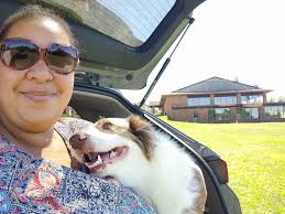 Just Finnick lounging around