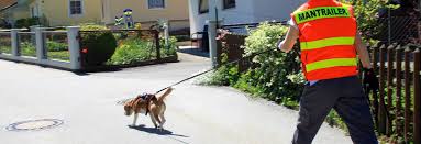 Nutzen sie unsere beratungsqualität in den filialen vor ort oder. Faqs Rettungshundestaffel Rottal Inn