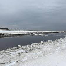 Red Berries Photograph by Danielle Lehoux