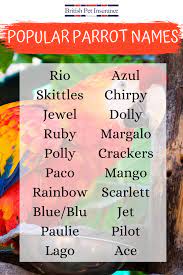 8 Bird Names Ideas Pet Birds Names Pet Bird