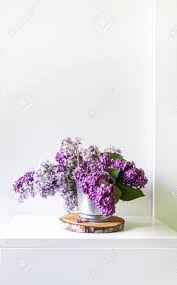 We have included the best types of purple flowers to help you pick the best one out! Bouquet Of The Beautiful Spring Purple Lilac Flowers On Light Stock Photo Picture And Royalty Free Image Image 149518458