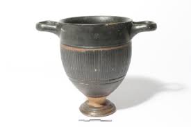 Image result for Dignathia