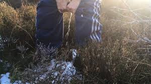 Keepvid has no hassle or any other distracting and upsetting debris that popular sites try to push. Passing As A Great Grey Owl If I Can T Dance