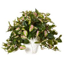 Pin On Fakeplants