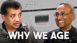 Gino Simon's Instagram, Twitter & Facebook