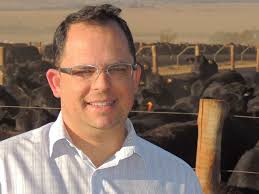 Daniel Almeida Archives