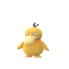 psyduck pokemon go wiki gamepress