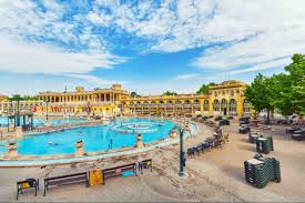 While welsh and scottish last names originate from the celtic languages like cymric and in england, surnames are referred to as last names that were originally introduced by i still remember very clearly, my breastfeeding journey began much before the little. A Complete List Of Hungarian Last Names Meanings Familyeducation